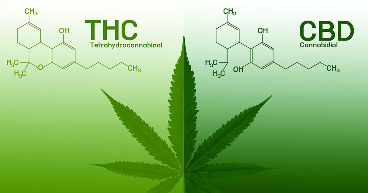 CBD-vs-THC